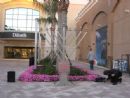 Menorah lighting at the Shops