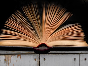 Curriculum 
